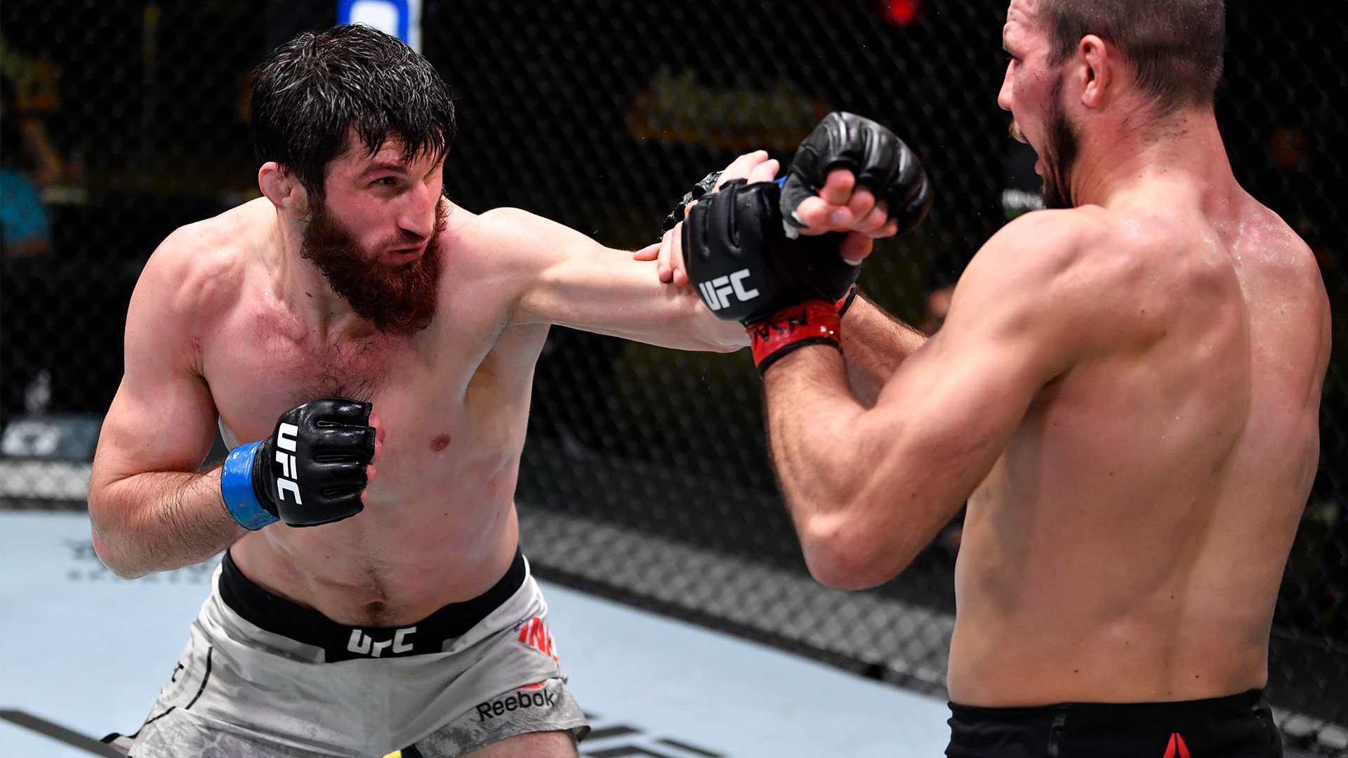 更源于他们 更源于他们